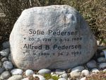 Sofie Pedersen.JPG
